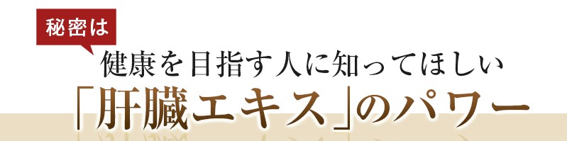 �w�p���[�[Z���T�C�g